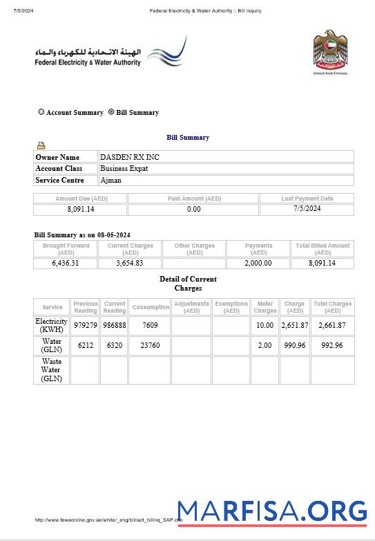 Realistic UAE Dubai Federal Electricity & Water Authority electricity, water business utility bill Word and PDF formats download for verification